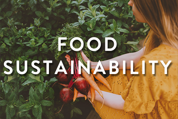 food-sustainability-feature