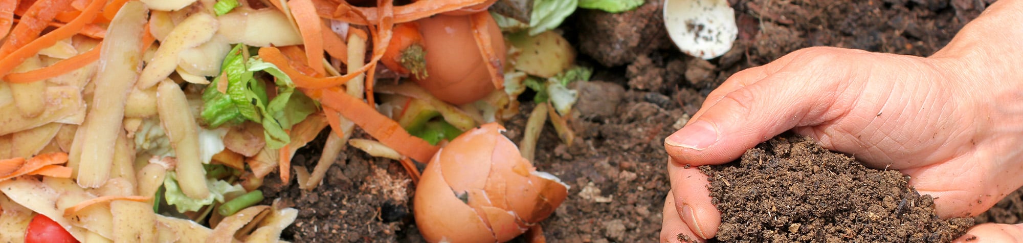 Grillio’s Guide to Food Waste and Composting