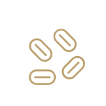 Yeast-logo