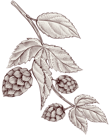 beer-leaves-layer