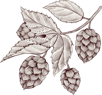 beer-leaves-layer