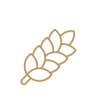 grains-logo