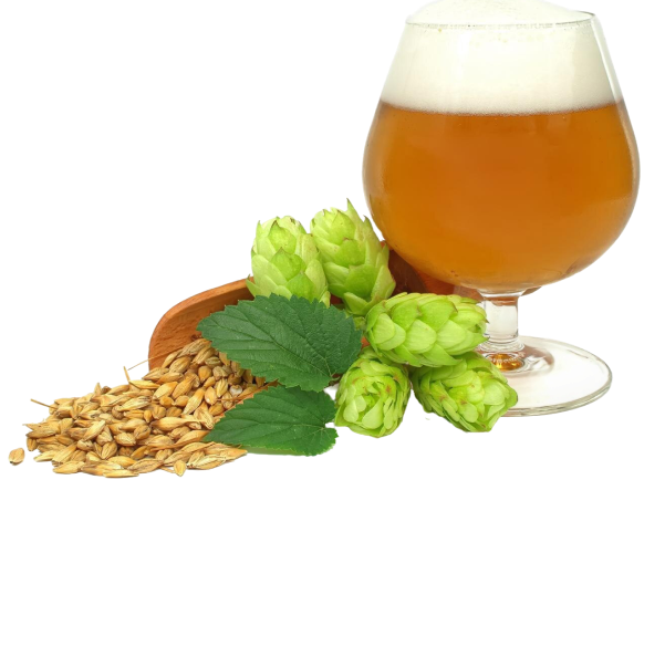 Belgian Witbier