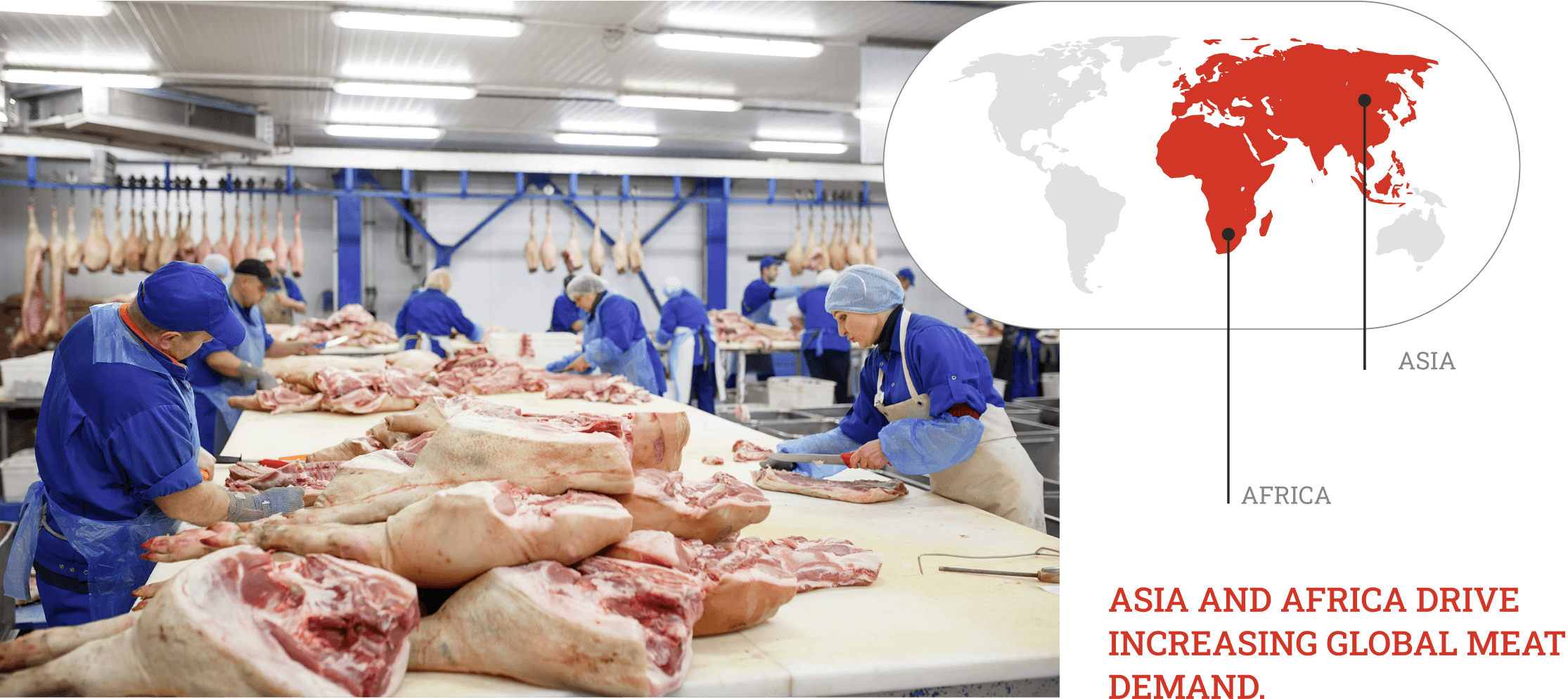The global meat industry