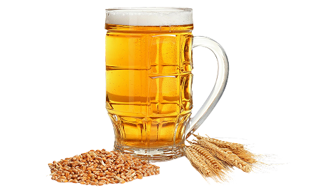 Wheat Content