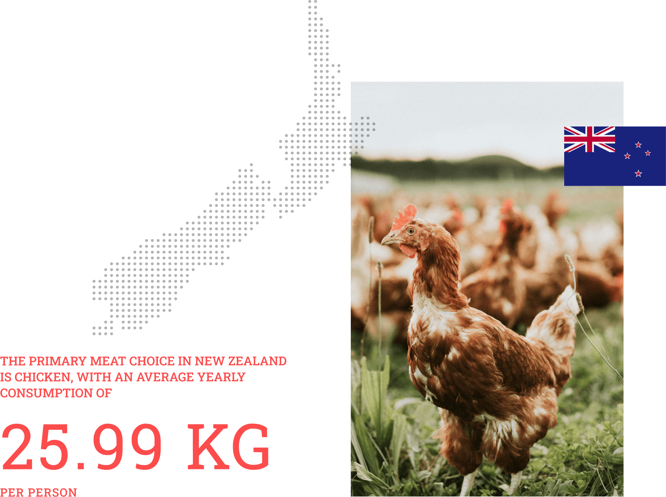 primary meat choice in New Zealand