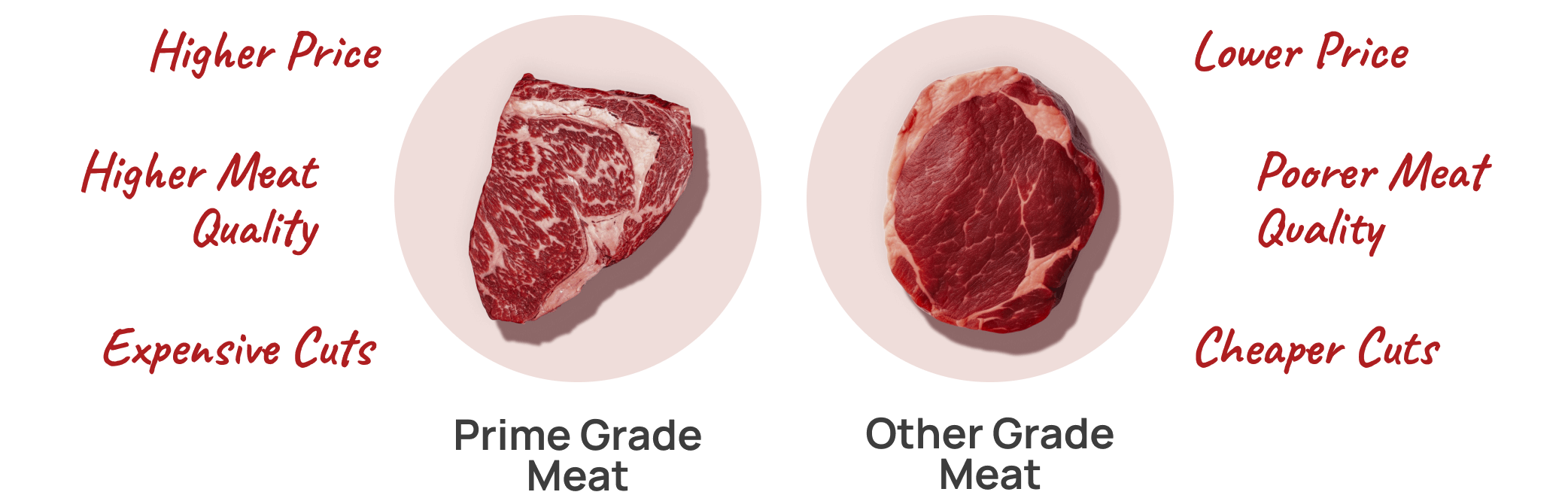 Prime and Other Grade Meat