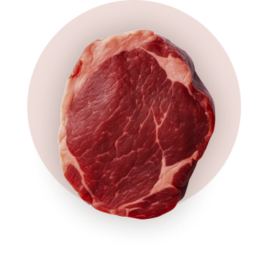 USDA-meat-Standard - 2x