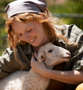 animal welfare-new