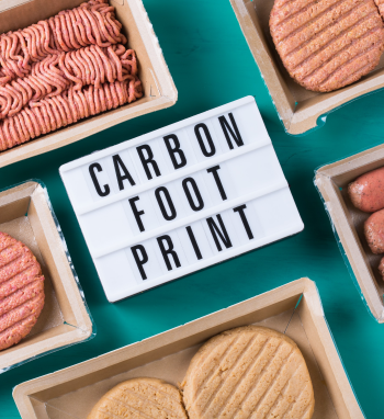 carbon footprint-new