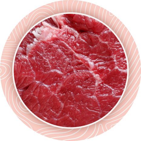 meat-Texture