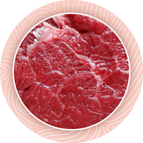 meat-Texture