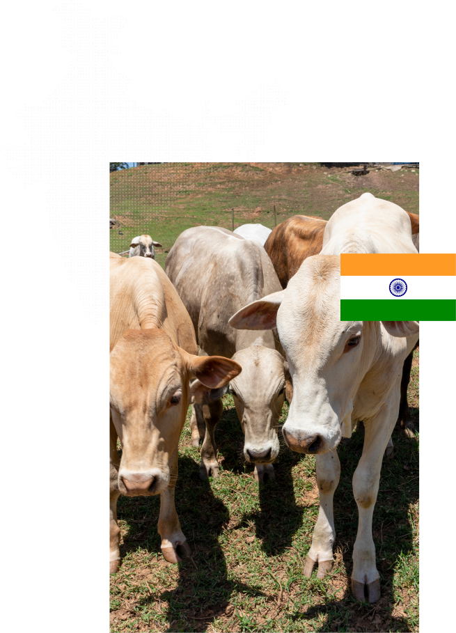 India