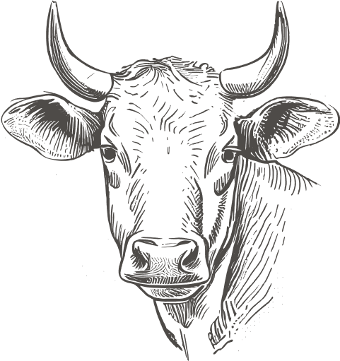cow-face