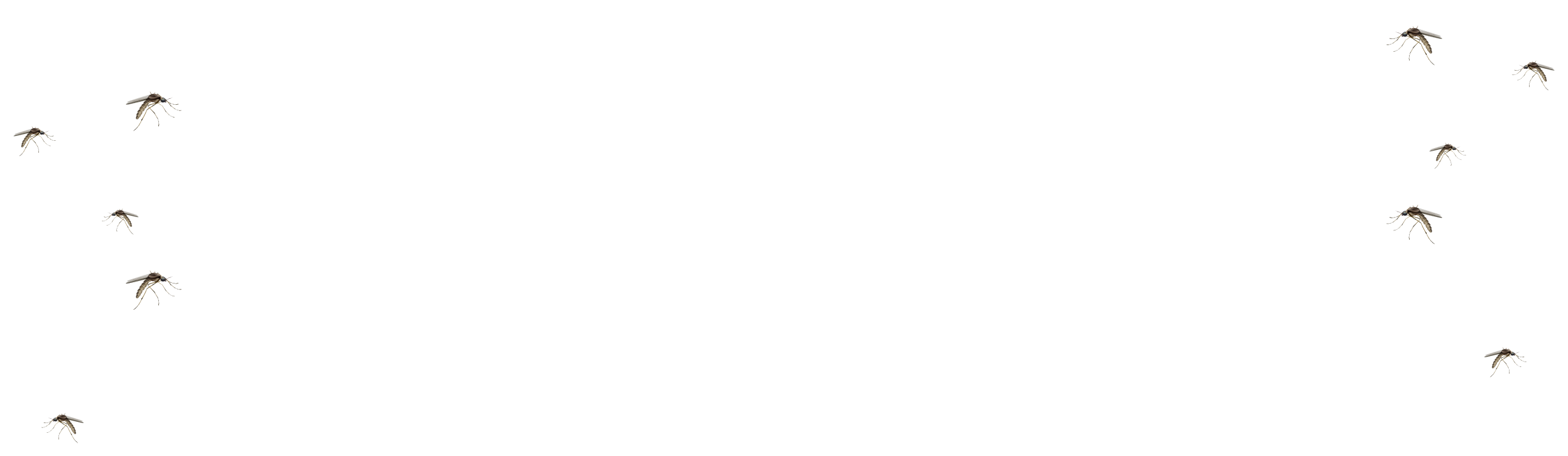 Mosquitoes
