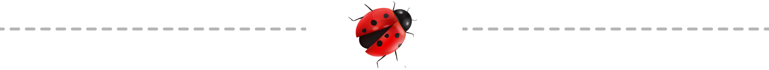 bugs-h3-border-1