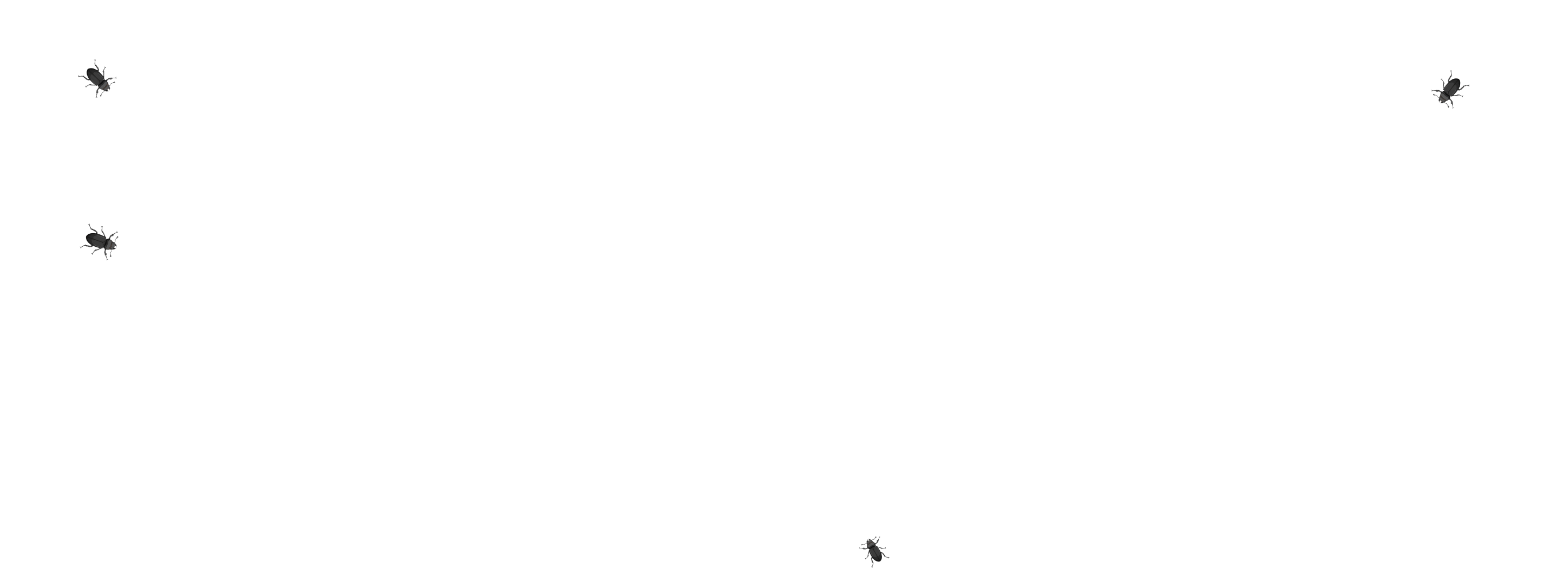 bunch of annoying bugs