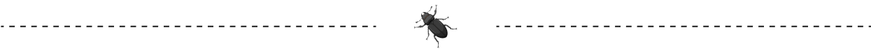 h1-bottom-bug-img