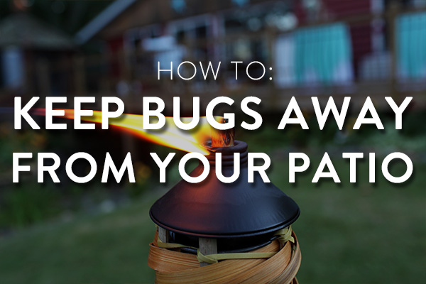 keep-bugs-away-featured