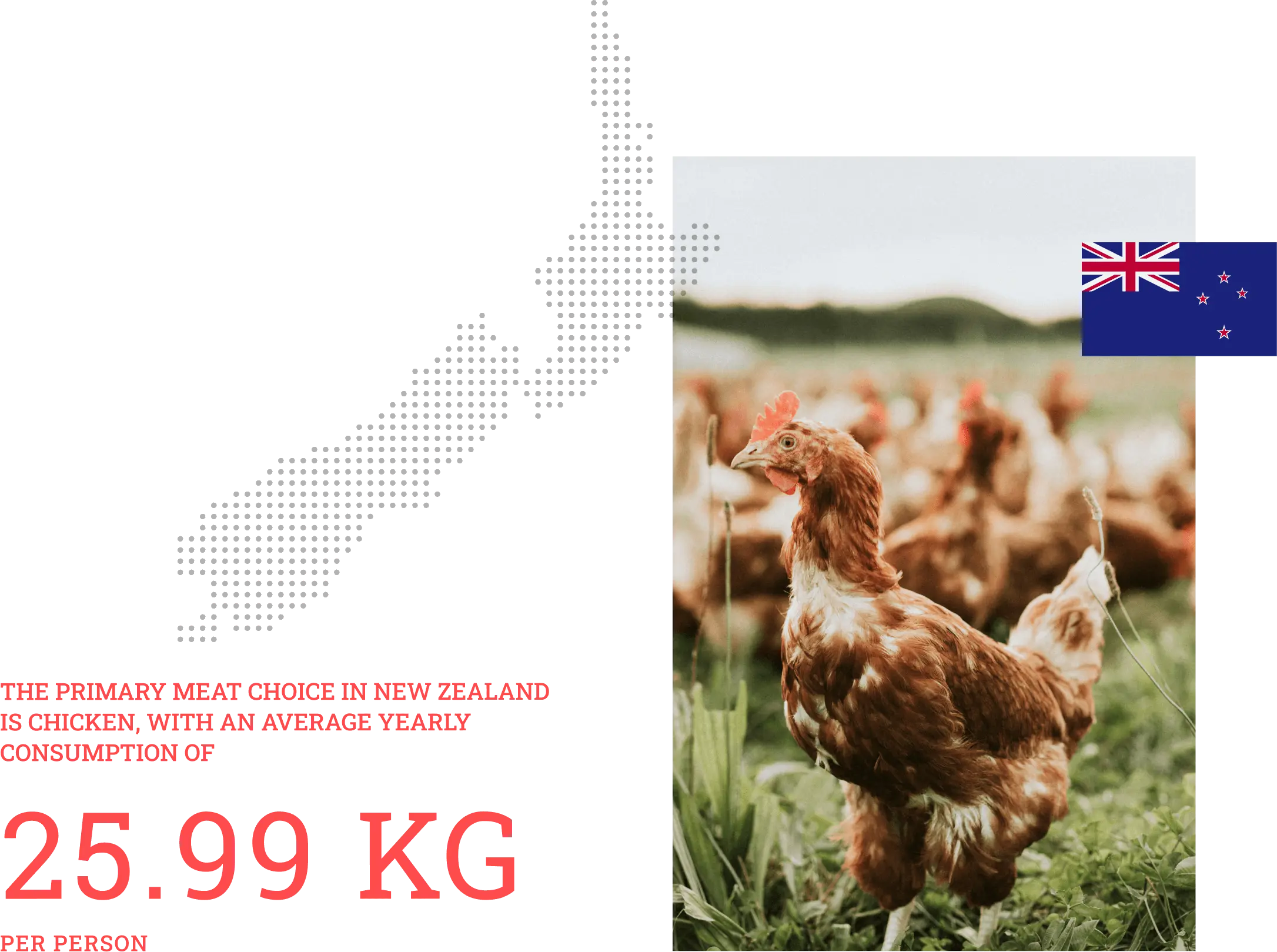 primary-meat-choice-in-New-Zealand-2