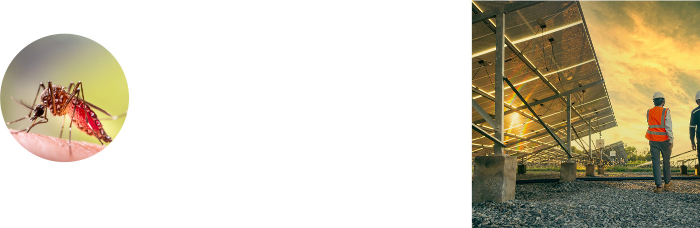 Alternative sol
