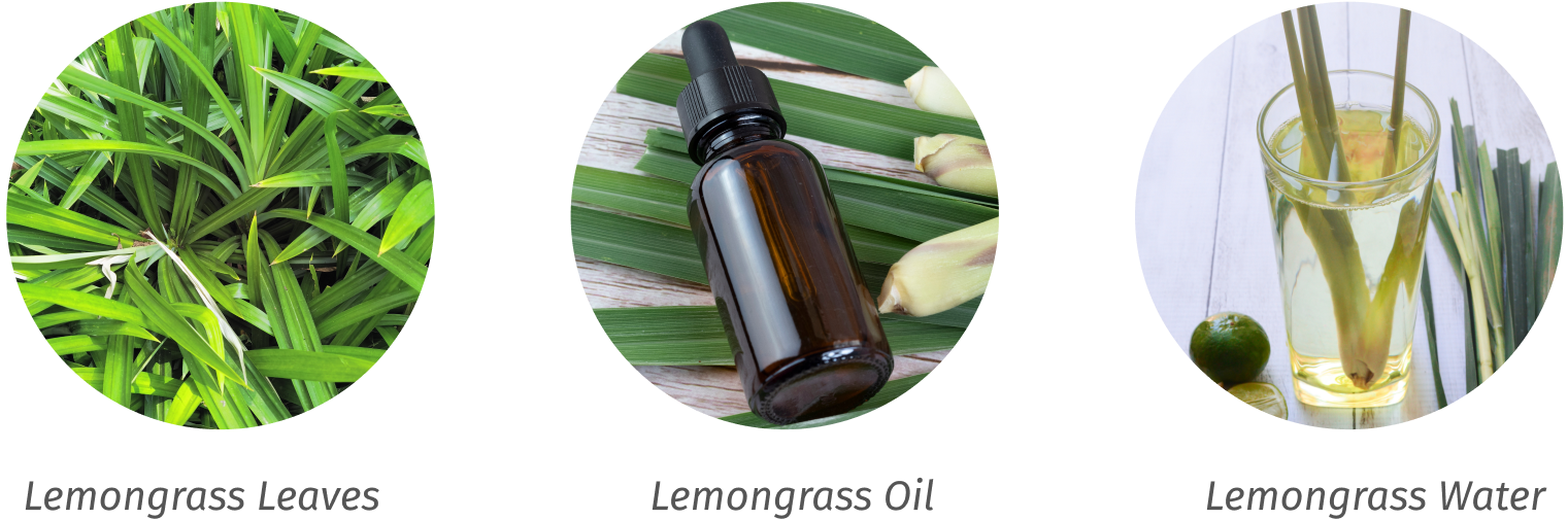 Lemongrass