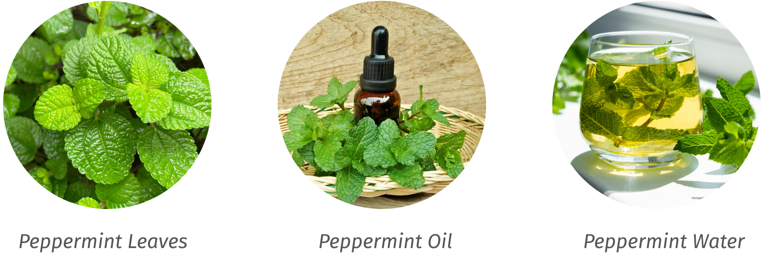 Peppermint