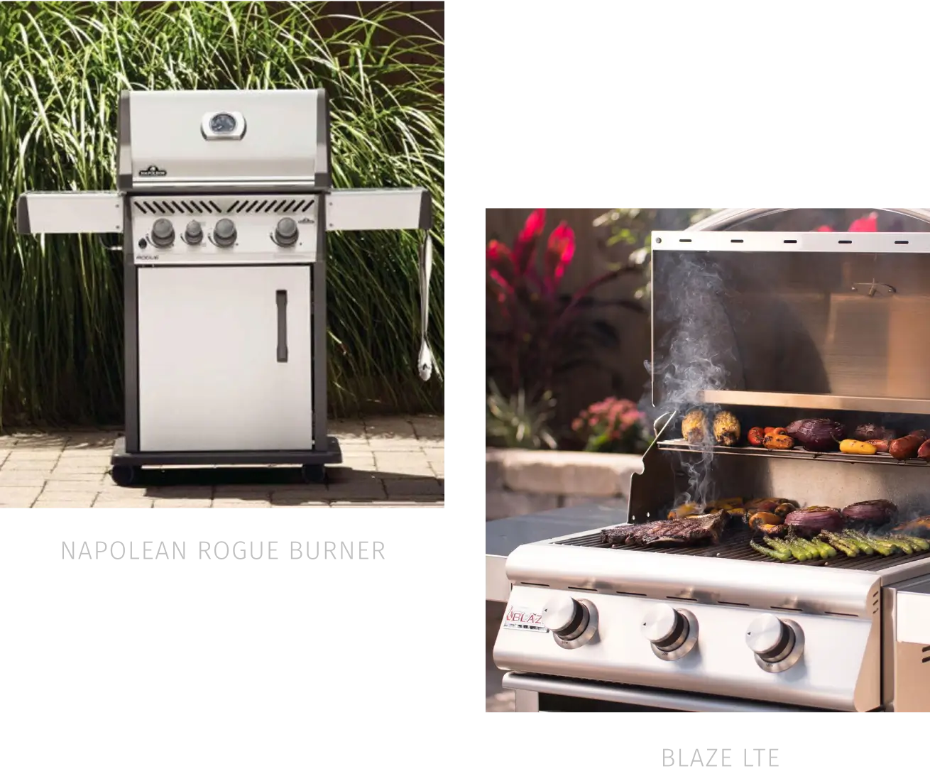 Budget-Friendly Options