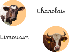 Grass fed beef