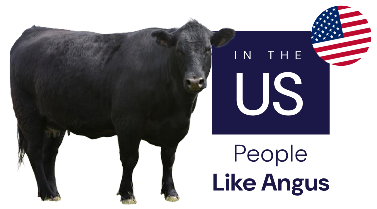 People Link Angus