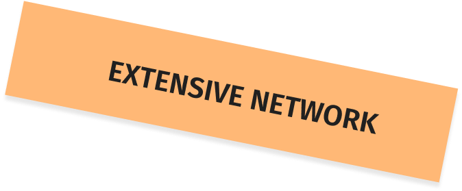 extensive network-text