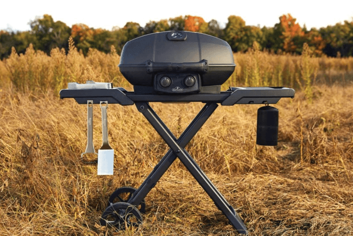 napolean grills - budget-models