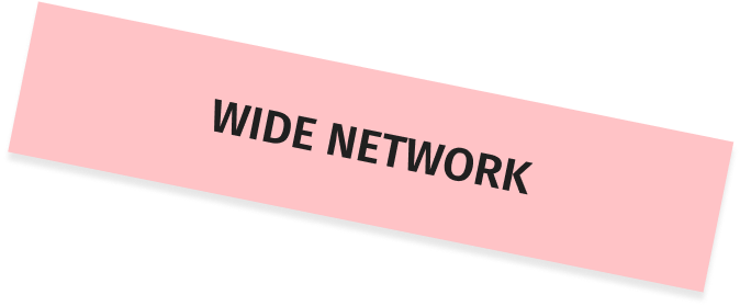 wide network-text