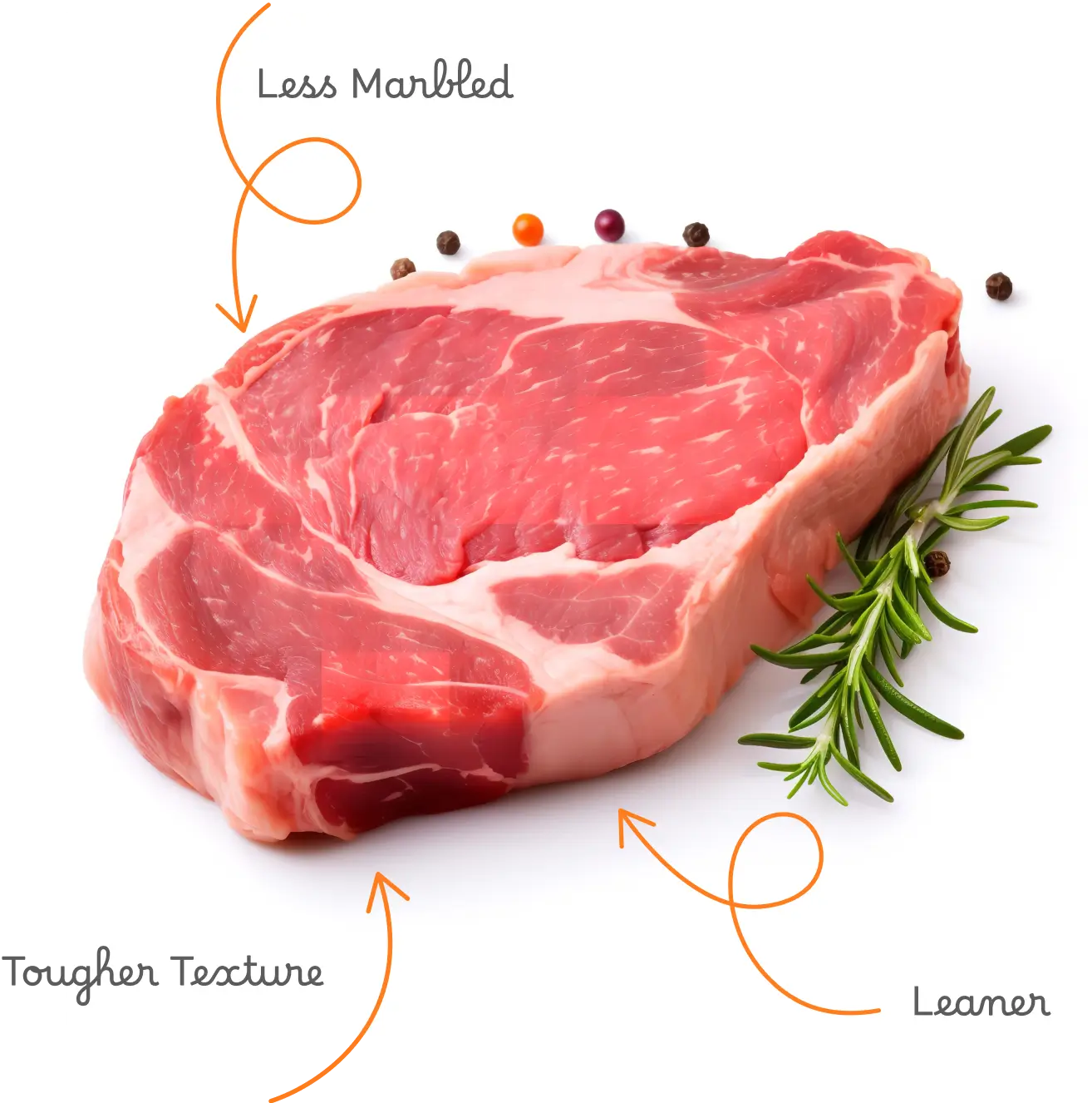 zebu-cattle-cuts