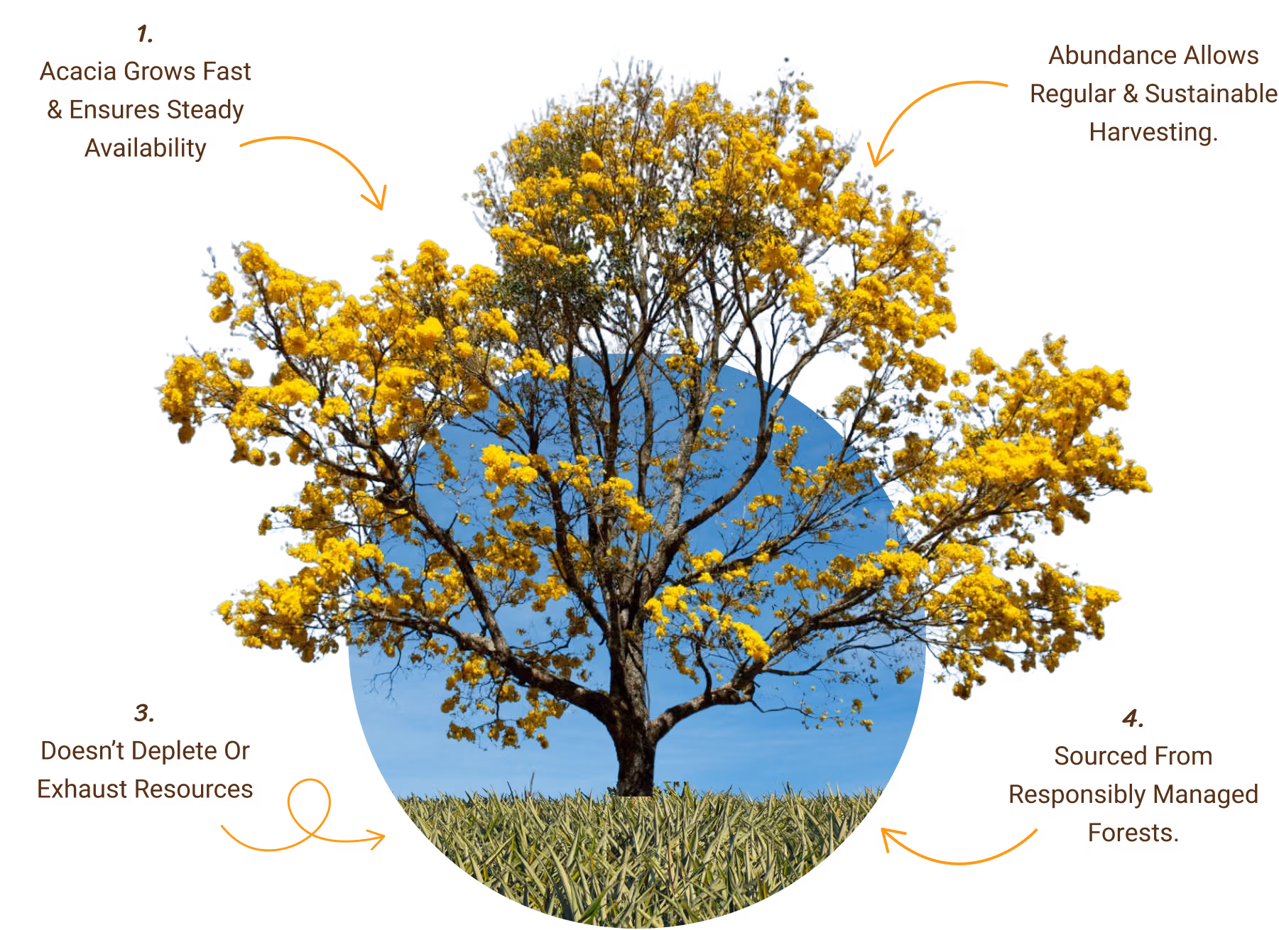 ACACIA Sustainability