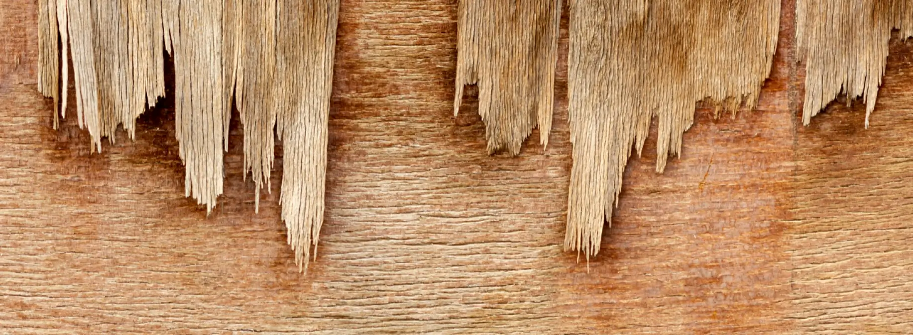Acacia Unsuitable For Wet Areas