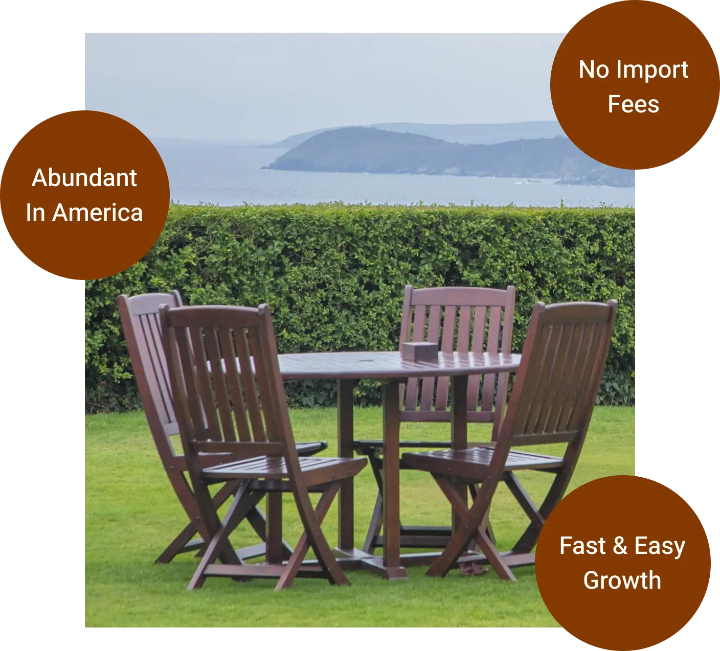 Acacia as a Budget-Friendly Option