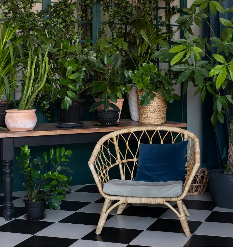 Budget-Friendly Outdoor Furniture