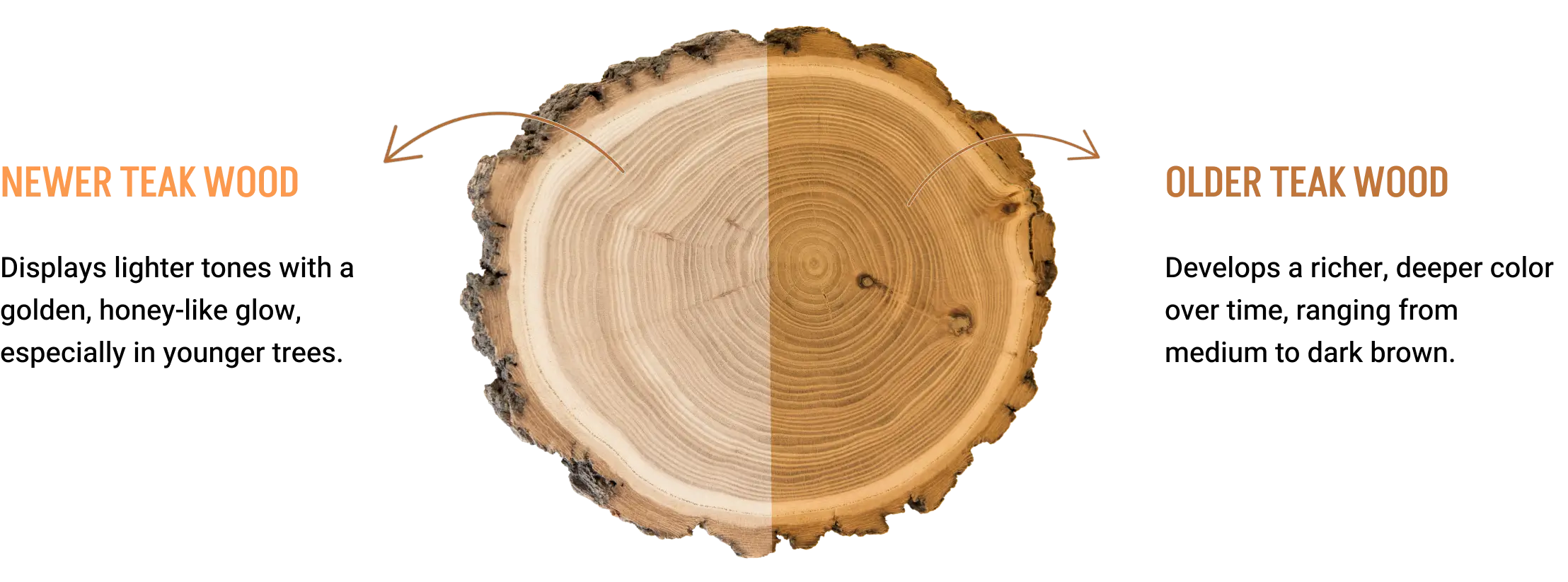 Older and Newer Teak Wood