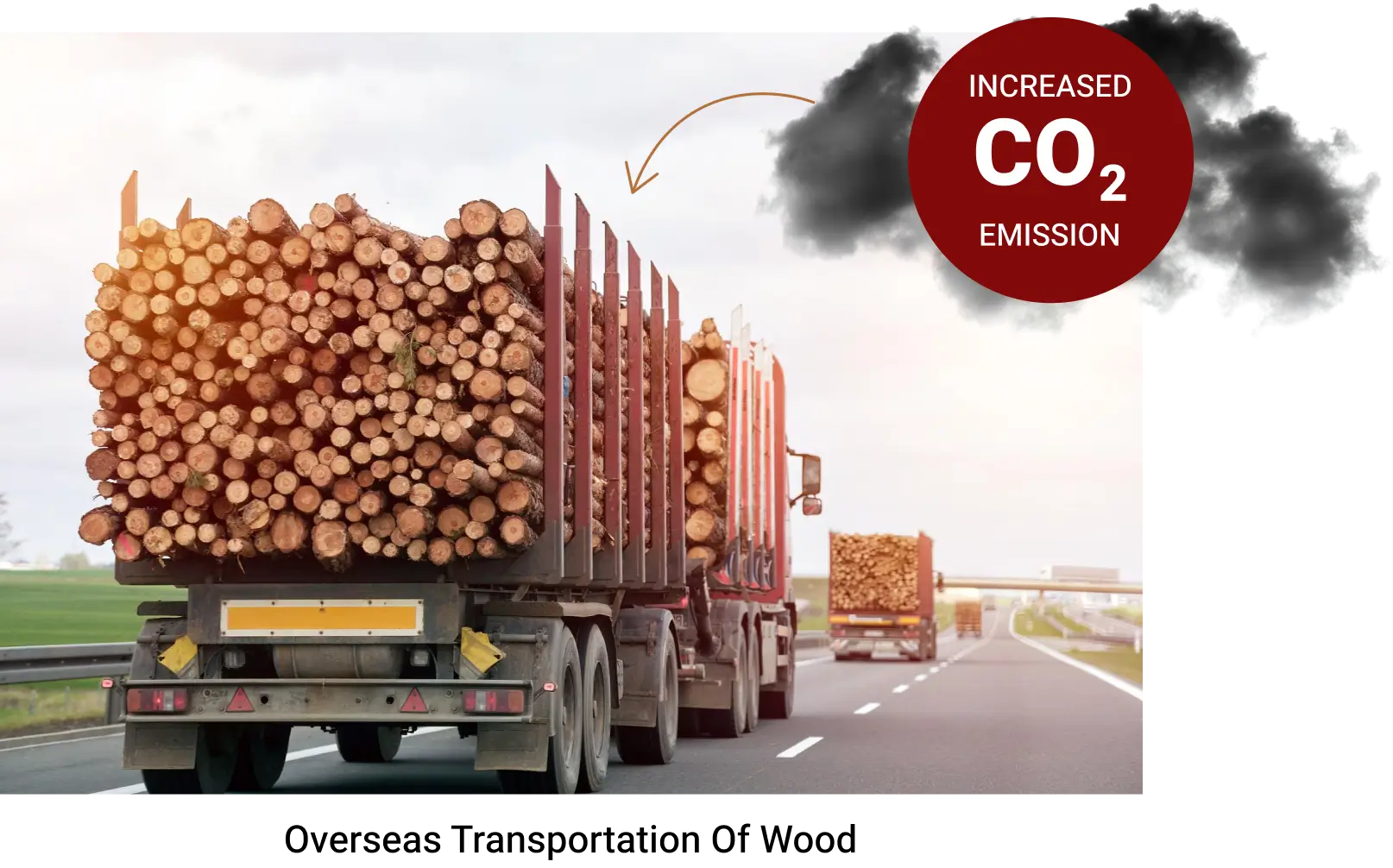 Overseas Transportation of Wood