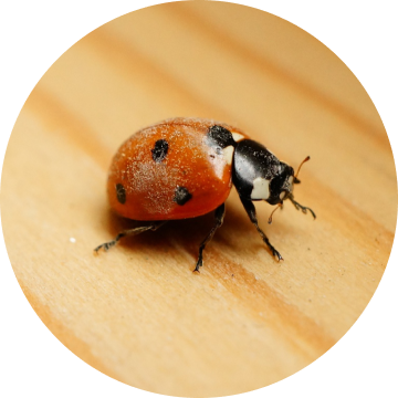 Pest Protection