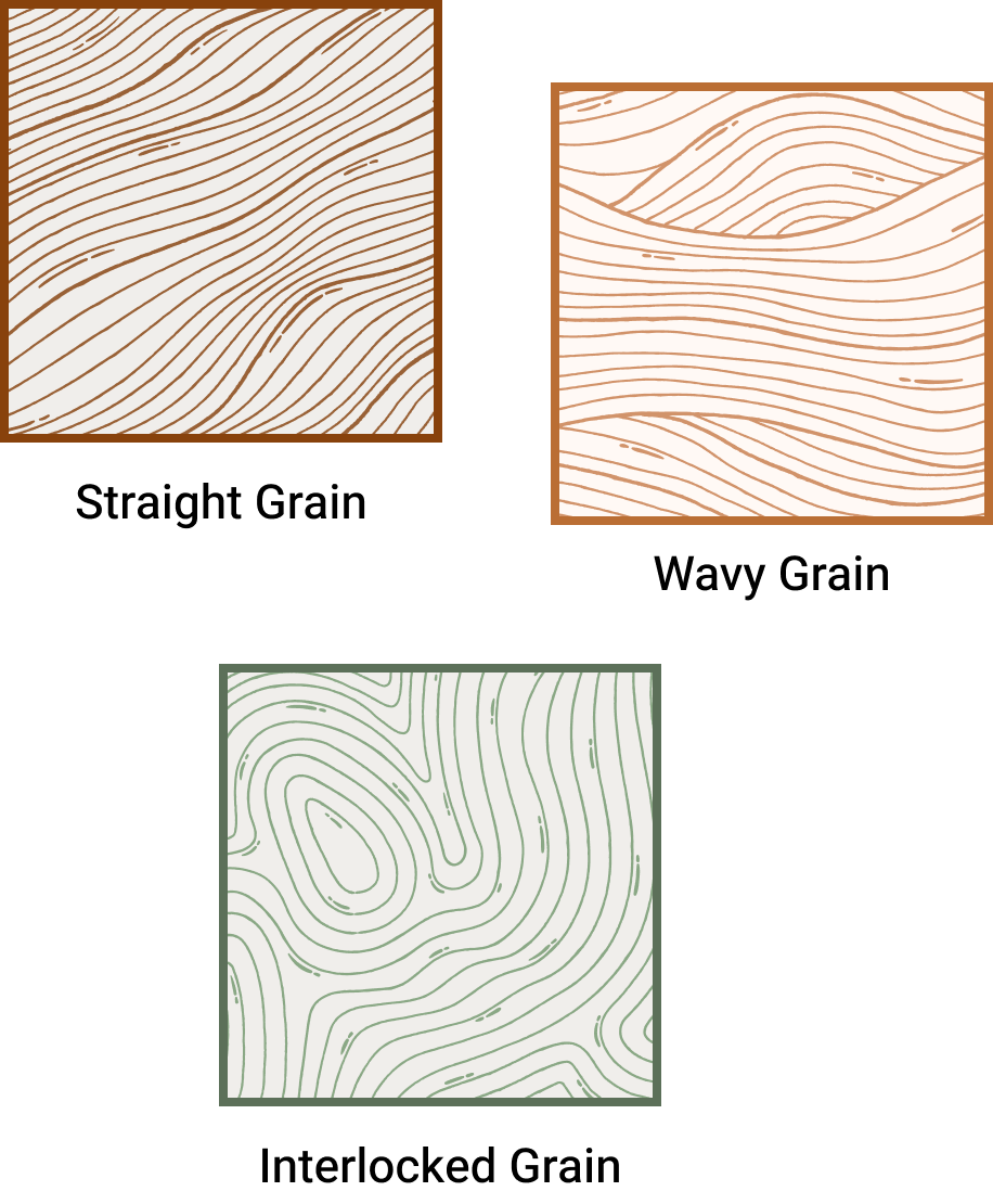 Teak Wood Grains