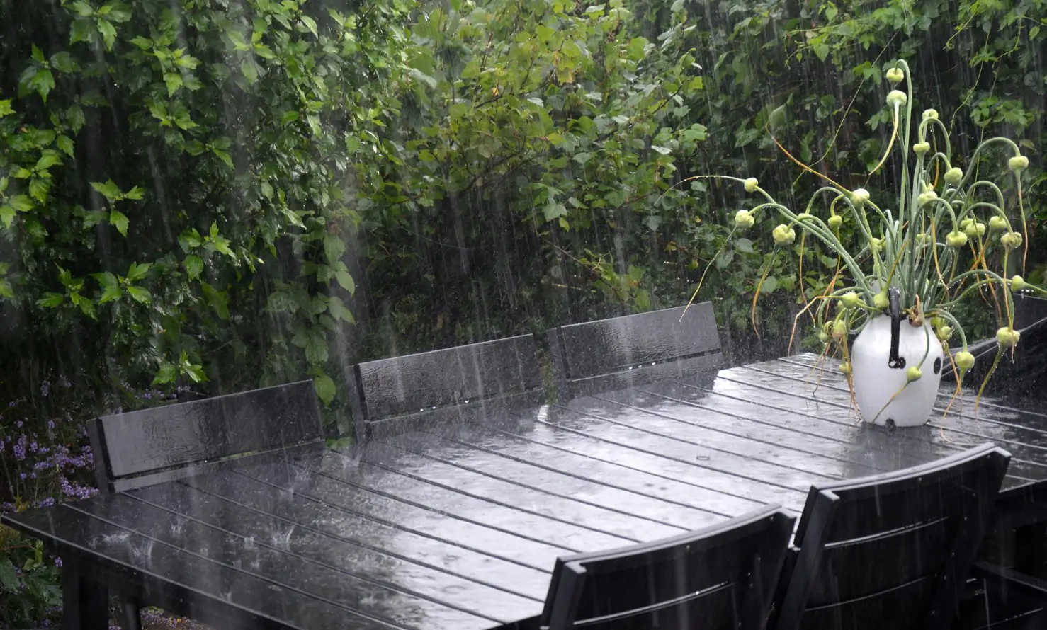 Teak Wood the Ultimate Choice for Wet and Humid Environments