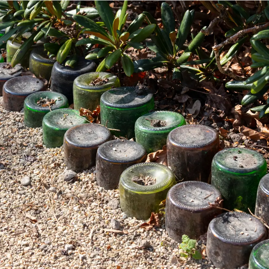 Wine Bottle Borders