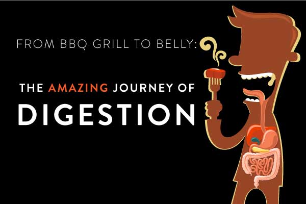 digestion-featured