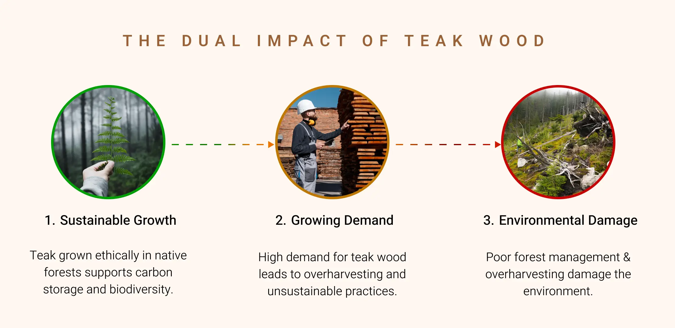 the dual impact of teak wood