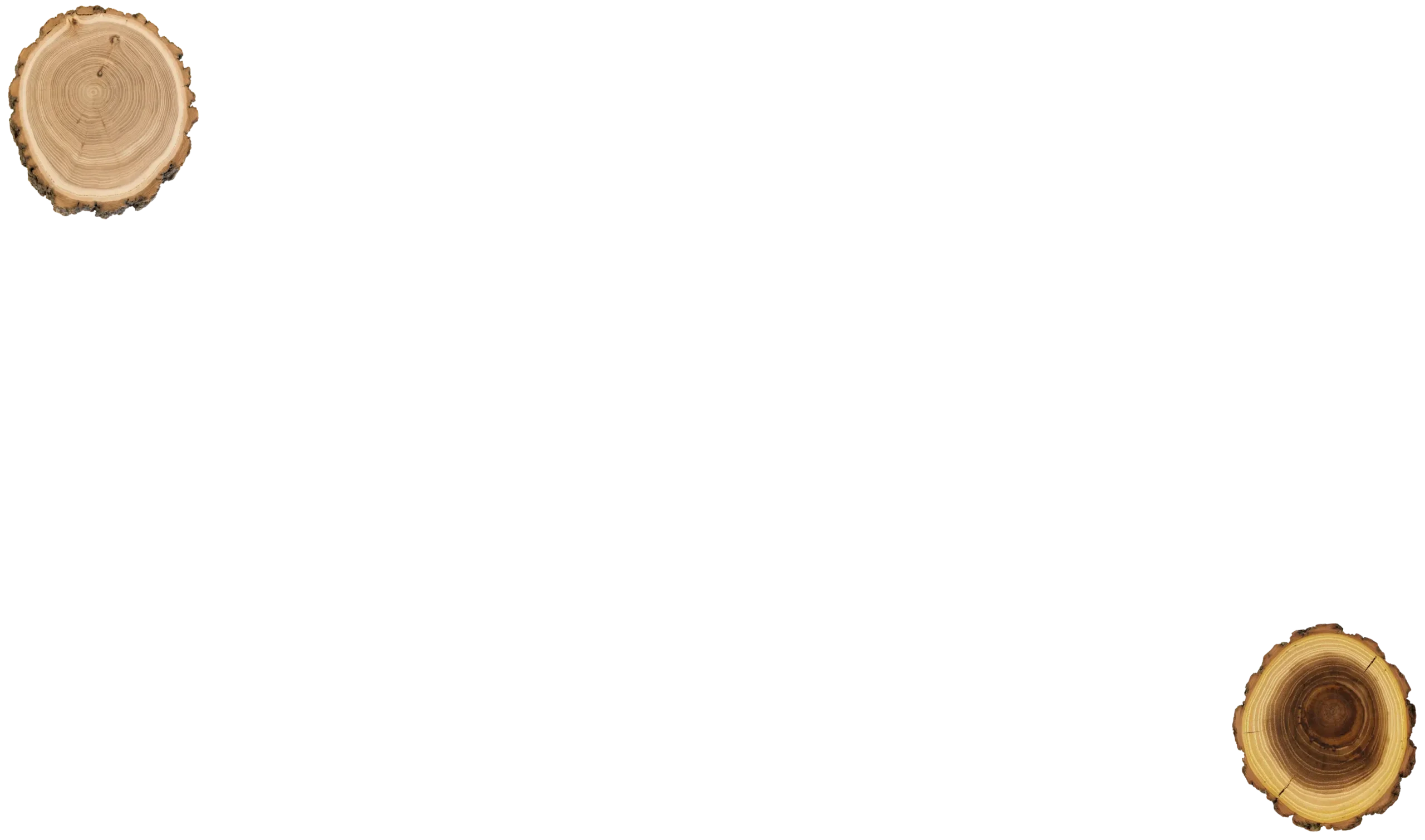 tree-wood-cutting-layer
