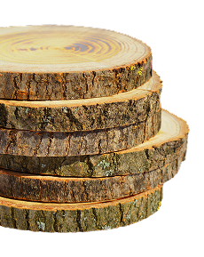 Teak Sustainability Left Img