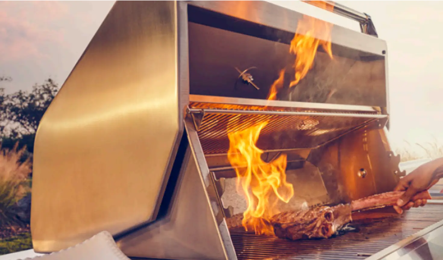 Twin Eagles - Sear Burner