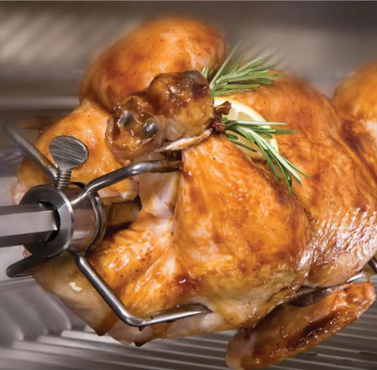 Twin Eagles grills - 100lb torque internal motor